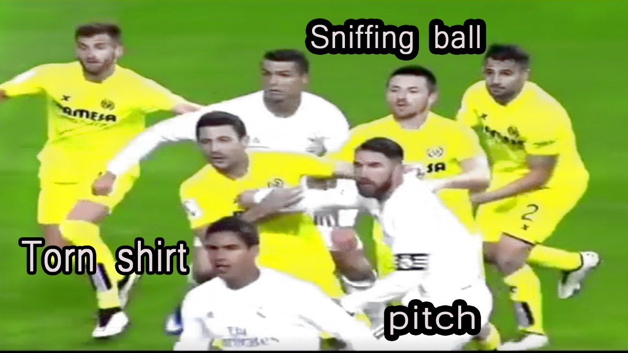 Funny torn shirt and sniffing ball on grass ● HD