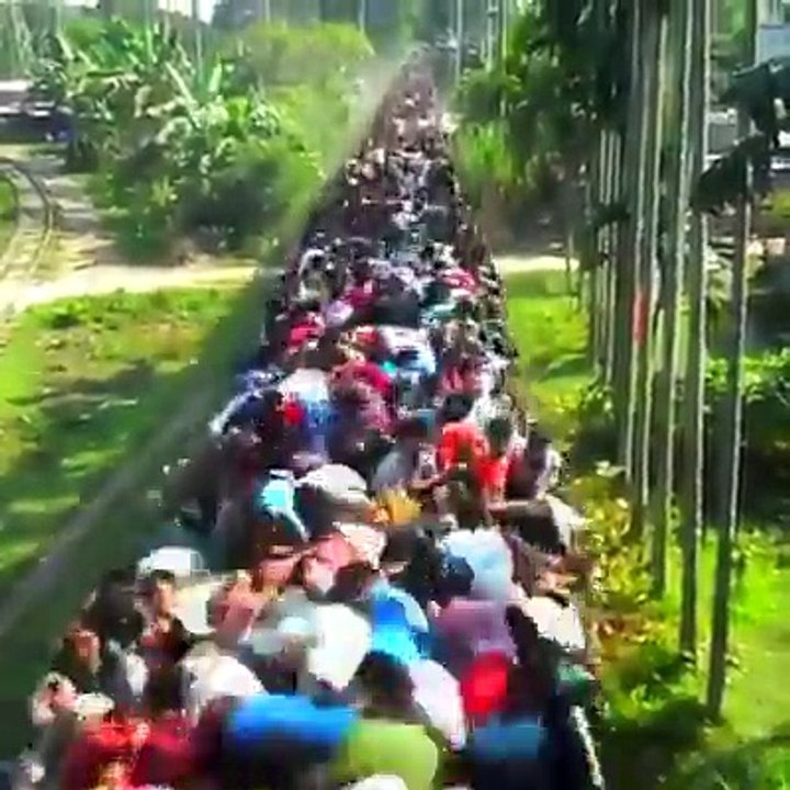 Hope all of them could stay with their family after the long trip ...