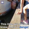 Daily Mail | This Girl Was Dragged Underwater by a Dea Lion