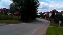 Motorcycle Fails Com