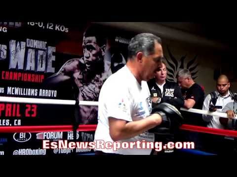 GGG on Mitts vs Wade On Mitts - who wins fight? esnews boxing