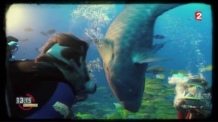 "13h15". Nicolas Hulot n'est pas né écologiste, il l'est devenu