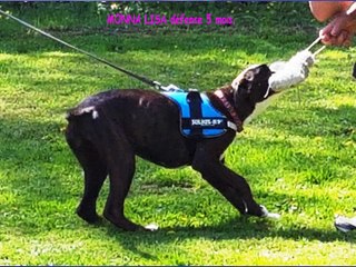 MONNA LISA de la Vallée d'Ailly