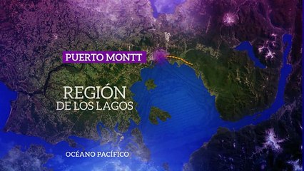 Azul Profundo -las maravillas del mar chilote -pt3