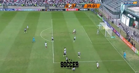 Richarlison Goal HD - Atletico-MG	0-2	Fluminense 21.05.2017