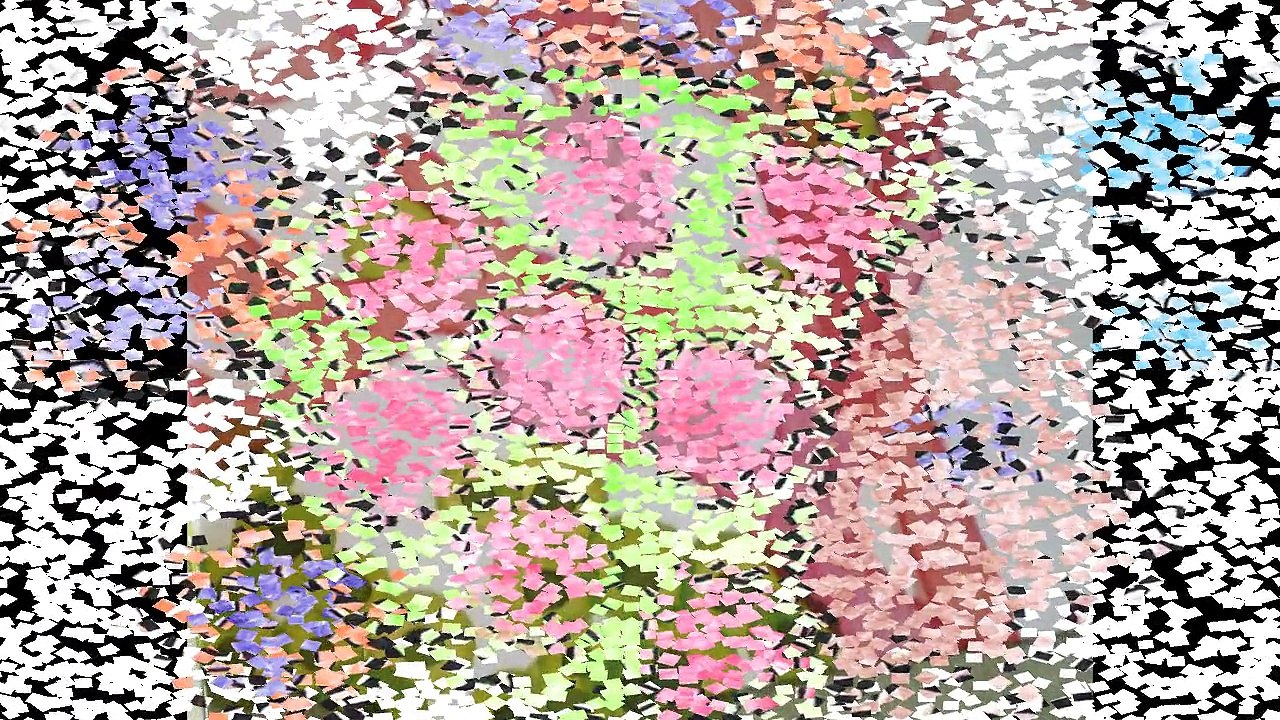 la maman des poissons