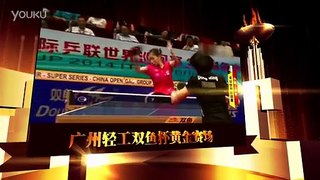 广州轻工双鱼杯黄金赛场第九期  樊振东VS波尔  令教练起立鼓掌的好球 标清