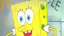 Sponge pop
