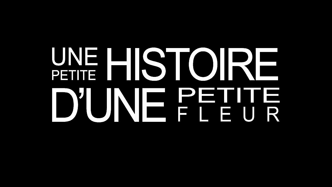 Une petite histoire d'une petite fleur