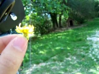 Attention aux yeux !