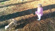 Cute Babies Laughing at Dogs Compilation 2016qweqwe123