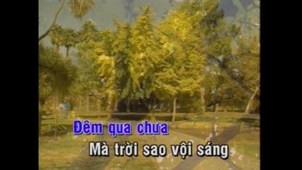 Chiếc Lá Cuối Cùng - Kim Anh | KARAOKE BEAT CHUẨN✔