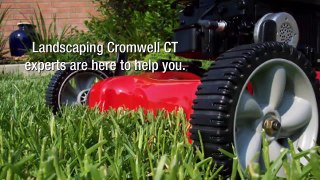 Where To Find Expert Landscaping Services in  Avon, CT