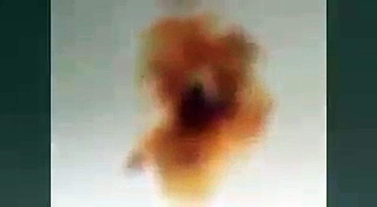 video number 5