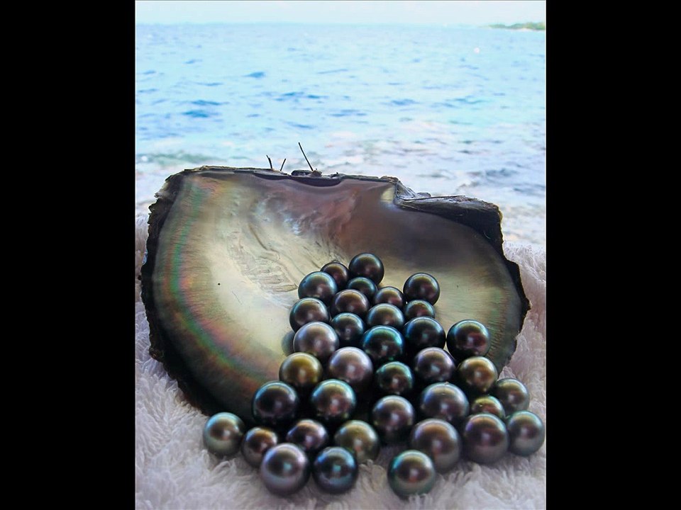 Crni Biseri - Kuda idu tuzni ljudi