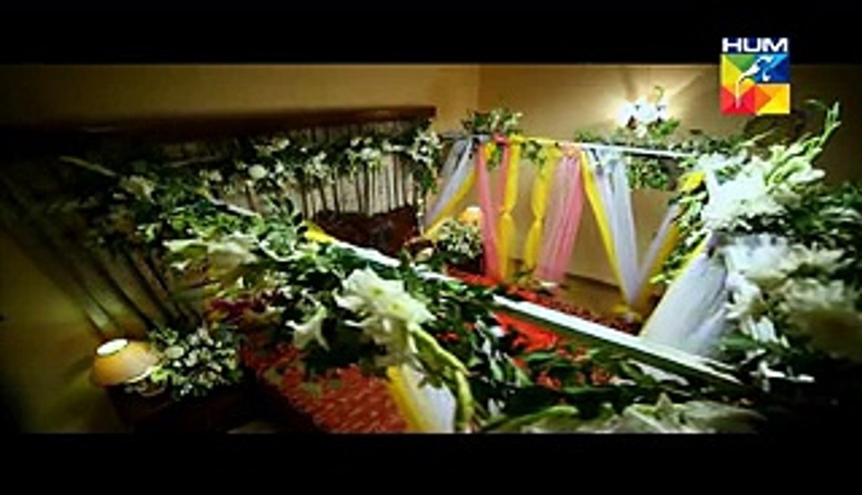 Aye Zindagi Episode 10 Full HUM TV Drama 14 May 2015