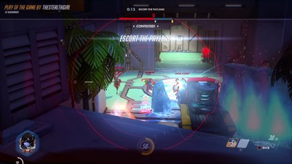 Overwatch: Origins Edition TSG