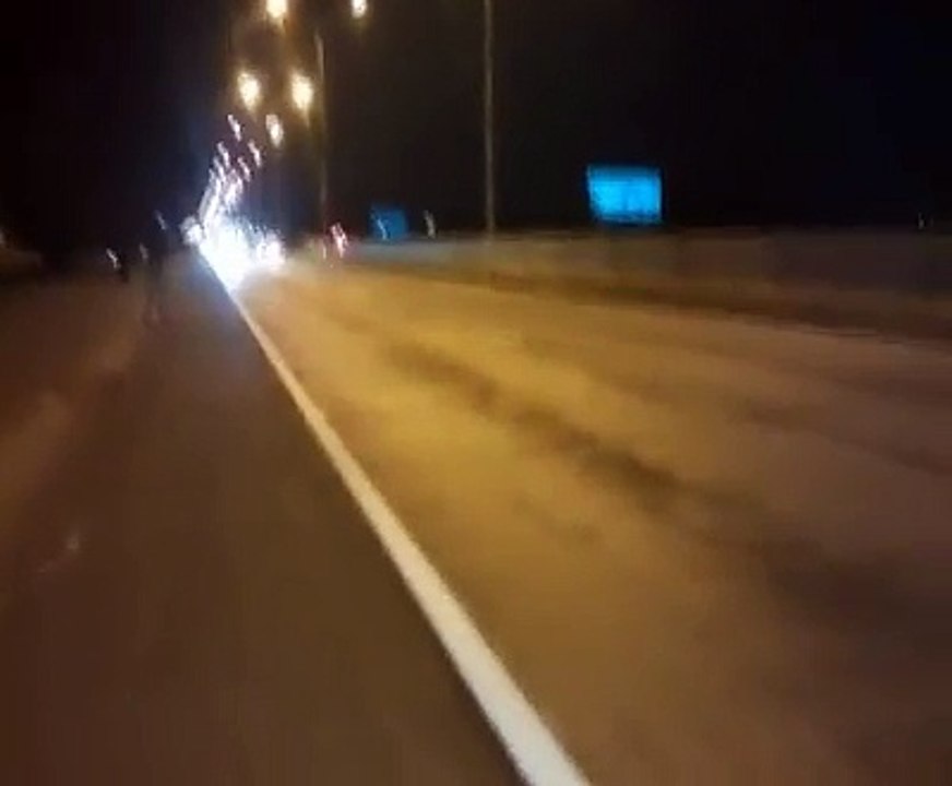 Da Onde Veio Esse Cachorro