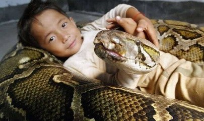 Chinese Kid Plays with Snake | Shocking Video | Snake attacking Humans