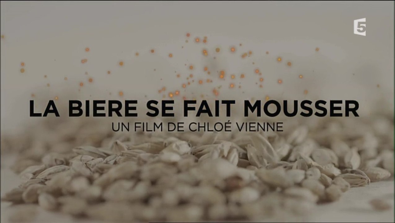 La bière se fait mousser (France 5)
