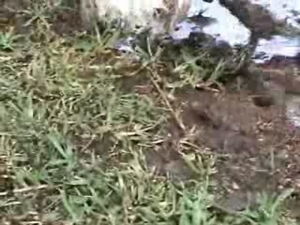 Benjiaventuras