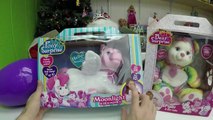 CUTE Pony Surprise Toys & Colorful Bear Toy Surpris