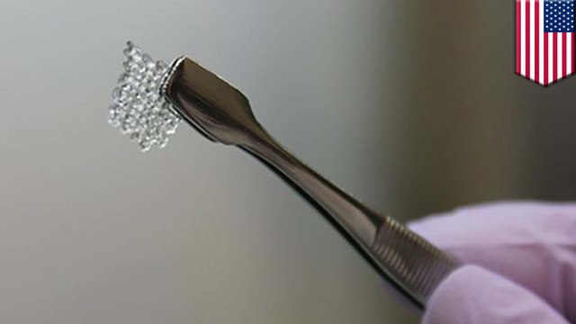 3D-printed ovaries restores fertility in sterilized mice