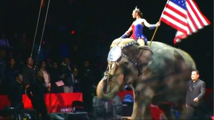 Most famous US circus performs for last time after abuse allegations