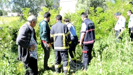 Kağıt Toplayıcısının Geçim Kaynağı Telef Oldu