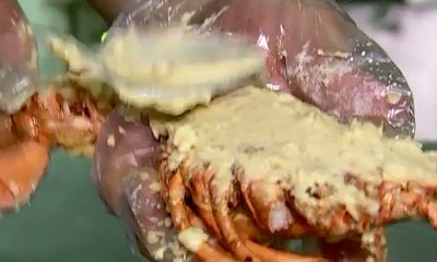 Lobster Keju Bakar Jadi Referensi Kuliner
