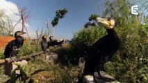 Chine  - des oiseaux dressés pour pêcher - ZAPPING SAU