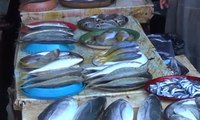 Cuaca Buruk Picu Kenaikan Harga Ikan Jelang Ramadhan