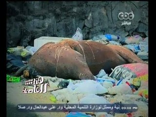 #هنا_العاصمة |  شاهد.. لميس الحديدي تعرض مشهدا يسئ للسياحة بمصر