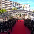 FASTival de Cannes #5 - Quand la Croisette s'amuse  - Festival de Cannes 2017