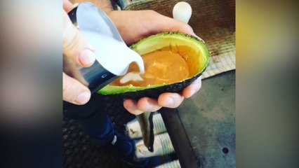 Avolattes take internet by storm in newest hipster craze