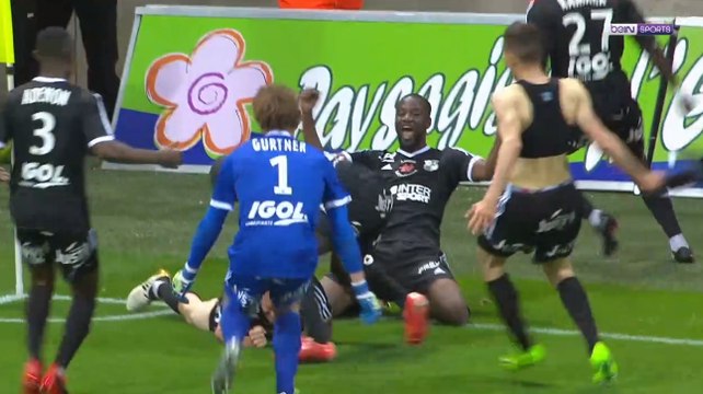 Hockey-sur-glace, Sébastien Bourdais et Amiens : le week-end sportif en images