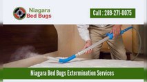 Niagara Bed Bugs - Permanent Bed Bug Extermination & Heat Treatment Service