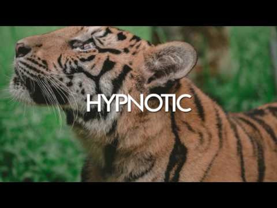 Danny Dove - Don't You Say