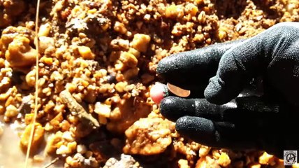 3D Gold Metal Detector Imager