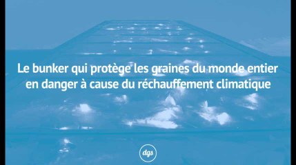 Le bunker qui protège les graines du monde entier en danger à cause du réchauffement climatique