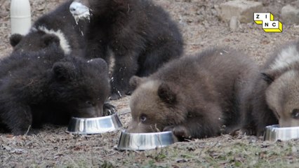 Russia's Most Unique Orphanage
