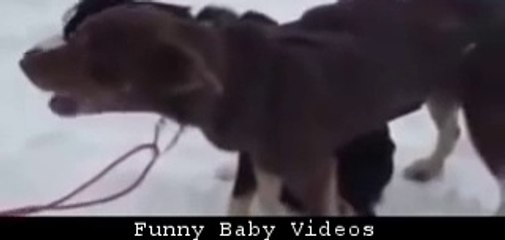 Hahaha Very Funny Video Must Watch Funniest V Ever