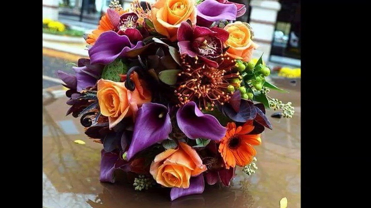 cheb Houari Manar ( allo ) , الشاب هواري منار ( ألو )