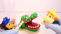 Paw Patrol Games Crocodile Dentist Challenge Game with Surprise Toys Kids Videos-as4gF0V-