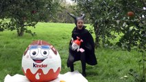 GIANT KINDER SURPRISE EGG 50 Kinder Surprises Eggs Frozen Elsa Star Wars Batman Disney Princess Toys-0WhE