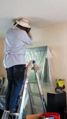 Elle découvre 120.000 abeilles dans son salon