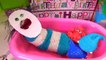 Fizzy Opens Birthday Presents, Takes a Bath & Gets a New Look _ Fizzy Toy Show-r12