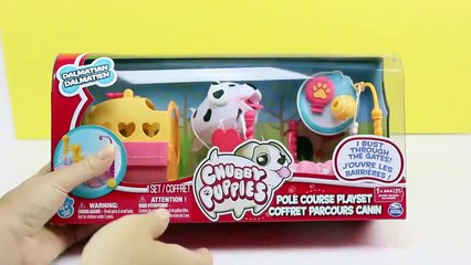 THE SECRET LIFE OF PETS Inspired GIDGET Play-Doh Egg CHUBBY PUPPIES Тайная жизнь домашних животных-mJmO4Q