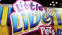 Little Live Pets TOY FAIR 2016 Tweet Talking Bird, Lil Frog, Turtle, Mouse, Snuggles Puppy-aPADY9