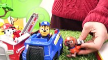 Paw Patrol Toys - Skye's TREE HOUSE  Construction Trucks Stories f